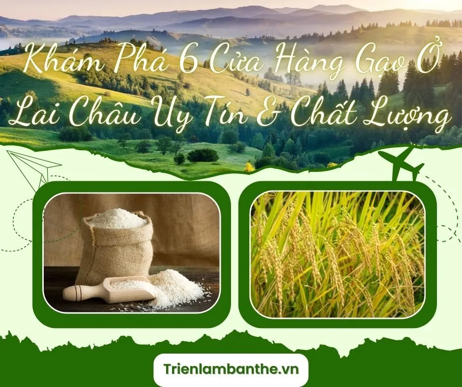 Khám Phá 6 Cửa Hàng Gạo Ở Lai Châu Uy Tín & Chất Lượng