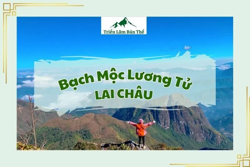 Bạch Mộc Lương Tử
