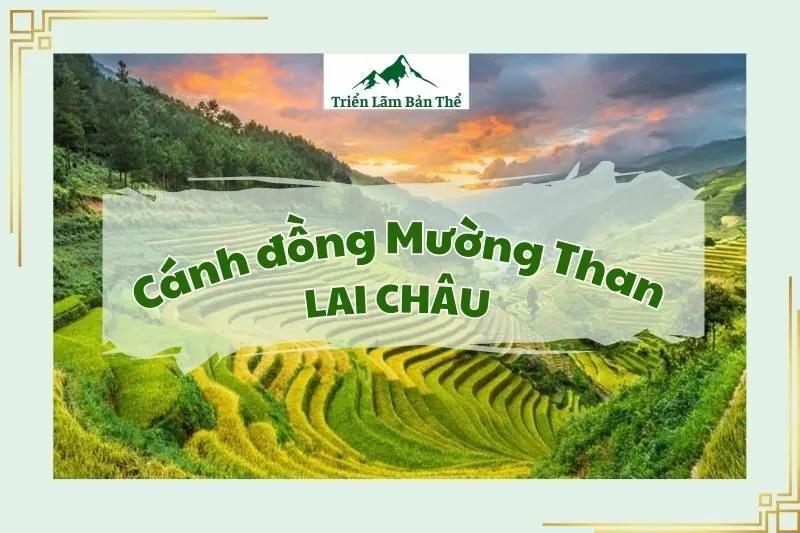 Cánh đồng Mường Than