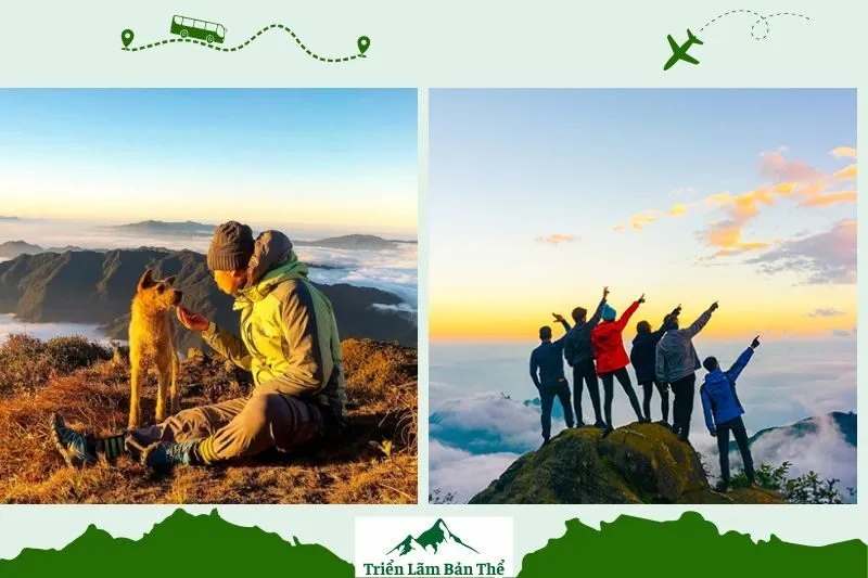 Bạch Mộc Lương Tử Lai Châu