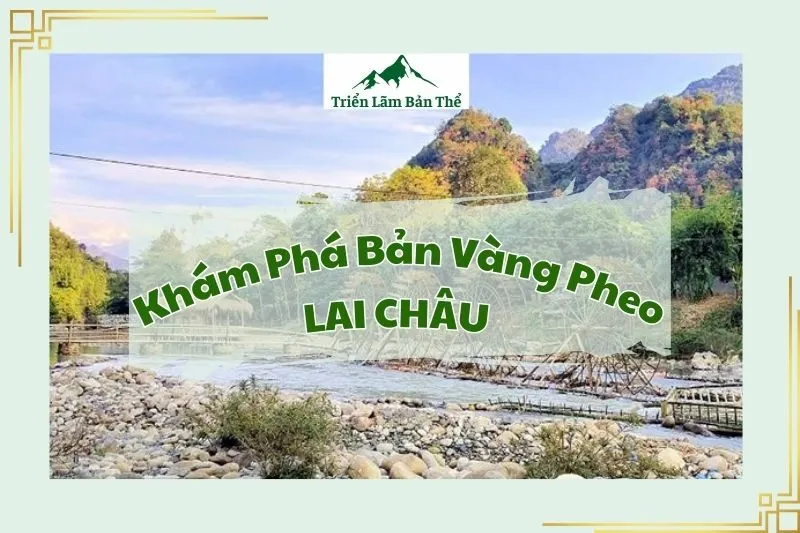 Khám Phá Bản Vàng Pheo