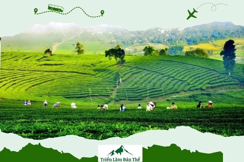 Khám phá lễ hội đặc sắc tại Tân Uyên