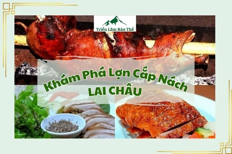Khám Phá Lợn Cắp Nách