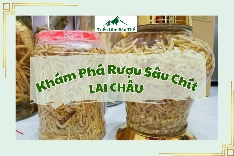 Khám Phá Rượu Sâu Chít