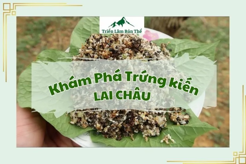 Khám Phá Trứng kiến