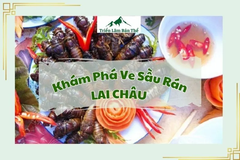 Khám Phá Ve Sầu Rán Lai Châu