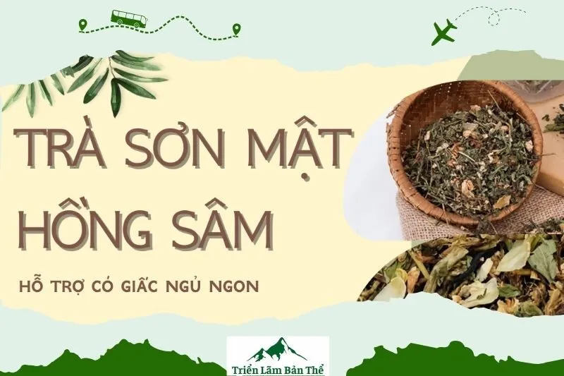 Lợi ích sức khỏe từ Trà Sơn Mật Hồng Sâm