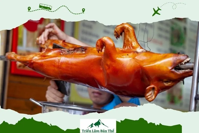 Lợn cắp nách Lai Châu được ưa chuộng