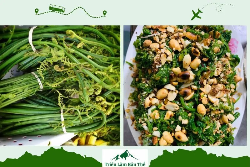 Nộm rau dớn Lai Châu chuẩn vị