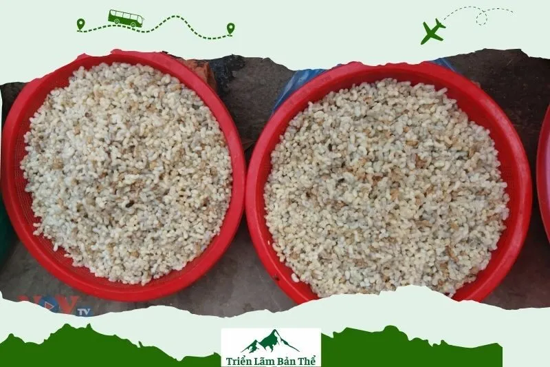 Quy Trình Thu Hoạch Và Sơ Chế Trứng Kiến