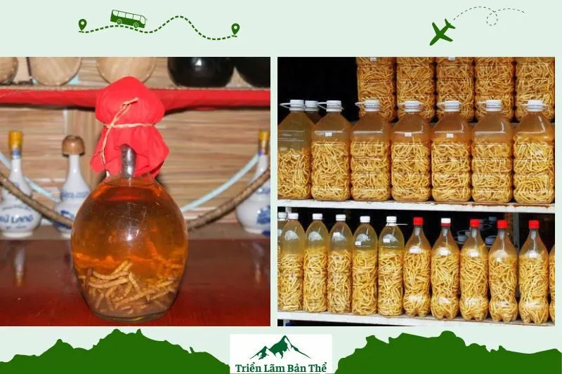 Rượu sâu chít Lai Châu là gì và lý do đặc biệt