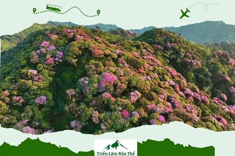 Thời điểm đẹp nhất để trekking Pu Ta Leng