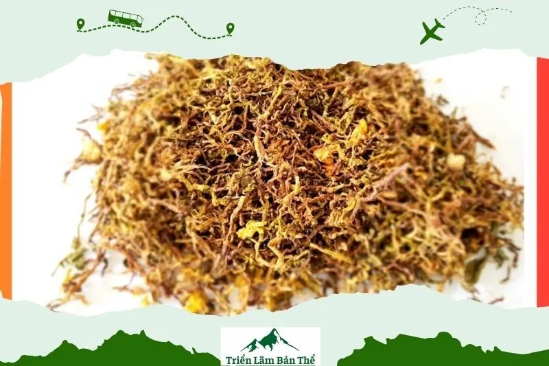 Trà Sơn Mật Hồng Sâm Lai Châu phù hợp với ai?