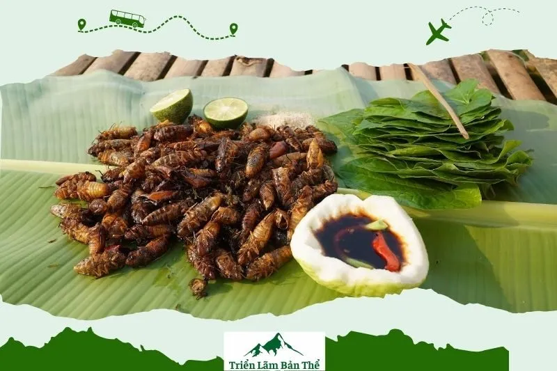 Ve sầu rán Lai Châu - Món ăn độc đáo