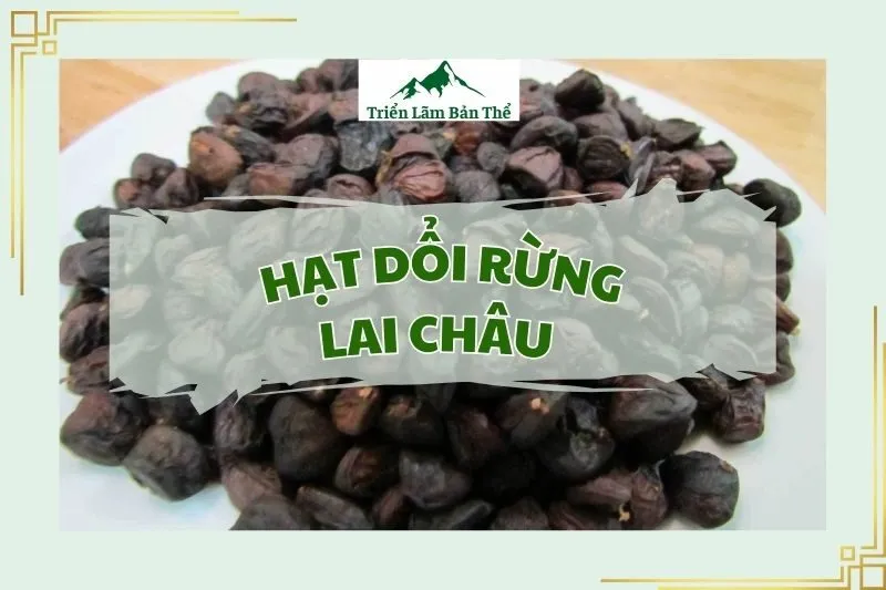 Hạt dổi rừng Lai Châu