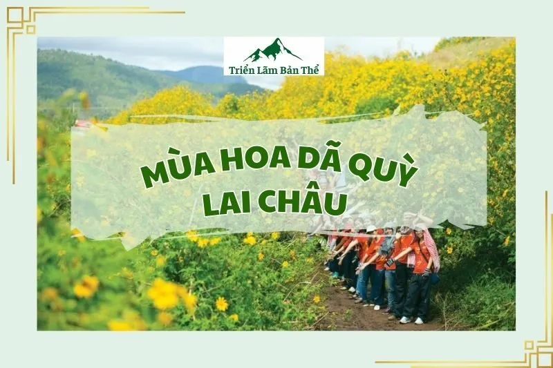 Mùa Hoa Dã Quỳ Lai Châu