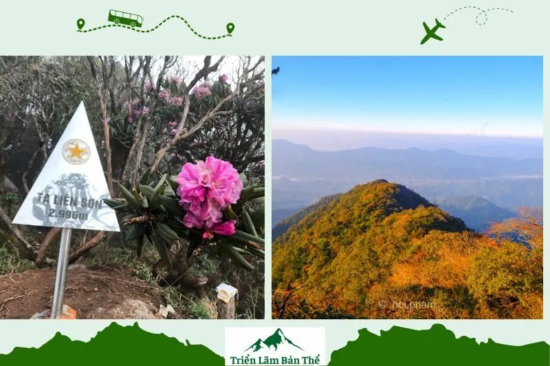 Tả Liên Sơn Nằm Ở Đâu?