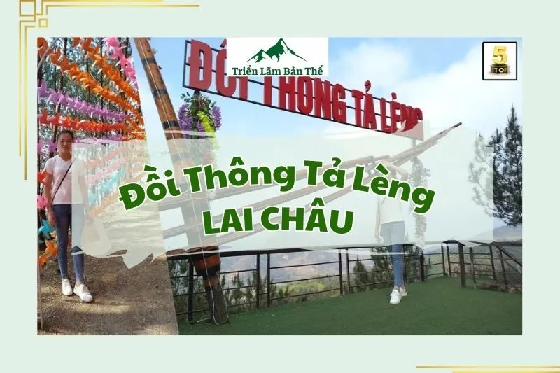 Đồi Thông Tả Lèng Lai Châu